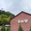 남해단 | 남해 도우(Dow)ㅣ피자와 모든 메뉴가 맛있었던 도우, 애견동반 내돈내산후기 / 메뉴추천