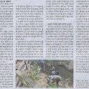 초록초록 가드닝 이미지