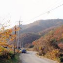 침곡리 입구 이미지