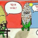 아라미장
