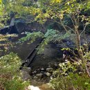 금화계곡주차장 이미지