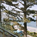 덕영치과병원연수원 네이버블로그