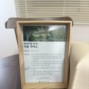 퐁낭아래 1978 이미지