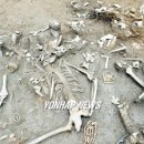 고은3리 이미지