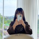 미학들 이미지