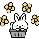 고향 샤브샤브 칼국수 이미지