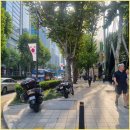 우리공인중개사사무소 이미지