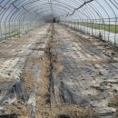 성하농장 이미지