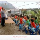 의당초교병설유치원 이미지