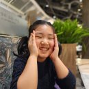 스피드메이트이가점 | 초등아이 <이웃집토토로 굿즈 디오라마 소품케이스> 내돈내산 후기 @도토리숲잠실롯데몰