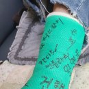 통기브스하고 스티디 이미지