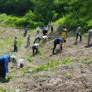 함안제일정비 이미지