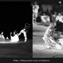 춤의 고을 고성사람들 이미지