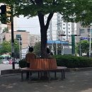 문학경기장 사거리 교통섬 이미지