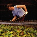 벨라비스타 이미지