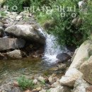 캠핑포유펜션 이미지