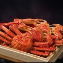 주식회사 대게킹 이미지