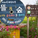 숲마을농원 이미지