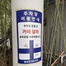 델포이내과