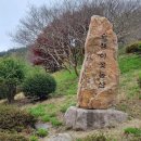 숲쟁이꽃동산 이미지