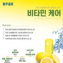 비타민컷트클럽
