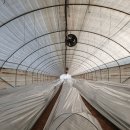 시우네농장 이미지