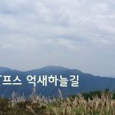 승지상회 이미지