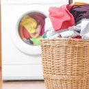 유행세탁 이미지