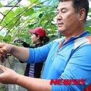 포도 - 동구 동부로32길 8 | 포도