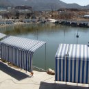 한샘청수낚시터 이미지