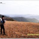 진교사우나 이미지