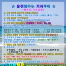 제주도 택시대절 비용 및 제주 택시관광 후기