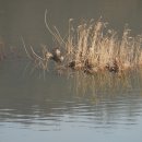 갈치저수지 이미지