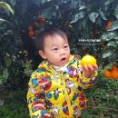 삼일산장 이미지