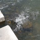 해낸다 스터디카페 이미지