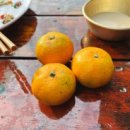 동백섬민박 이미지