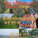 거성농장 이미지