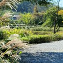 대청호오백리길 두메마을길 이미지