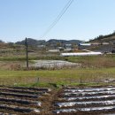 두월리경로당 이미지