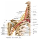 명작한의원 이미지