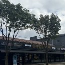 명륜체육관 이미지