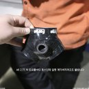 늘사랑동물병원 이미지