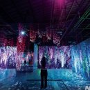 아르떼뮤지엄 이미지