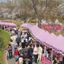 양재천 수변무대1 이미지