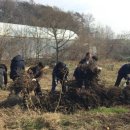 송학마을 이미지