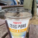 서울우유강릉대리점 | [서울우유]강릉커피 바닐라라떼, 아인슈페너 내돈내산 구매후기