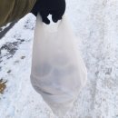 구회말투아웃 | 잠실새내곱창°구회말투아웃°잠실새내역맛집 포장후기