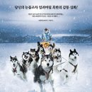 (감동 실화 영화) 에이트 빌로우 (Eight Below, 2006)ㅣ감독:프랭크 마샬ㅣ출연:폴 워커(게리 셰퍼드) 이미지