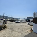 구도횟집 | 울산 남구 매암동 서생횟집 내돈내산솔직후기 40년 넘은 노포 횟집의 가성비 회덮밥