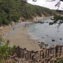 몰운대유원지약수터 이미지